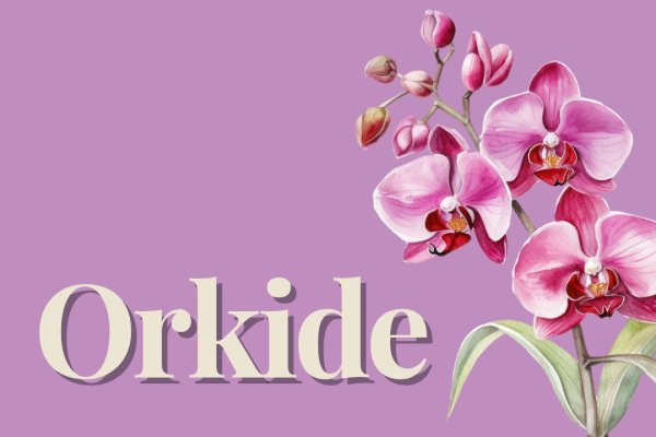 Doğum günü çiçekleri kategorisi