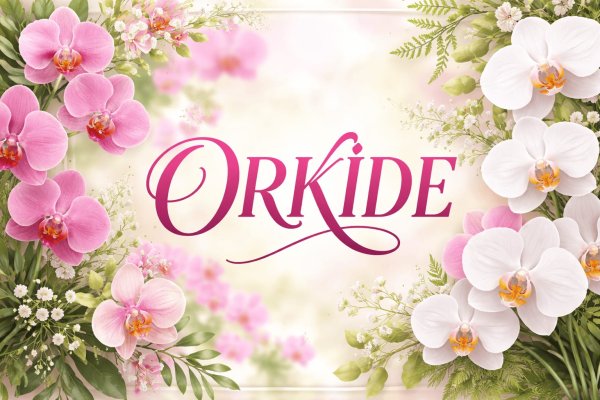 Doğum günü çiçekleri kategorisi