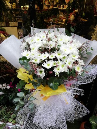 Beyaz papatya Buketi